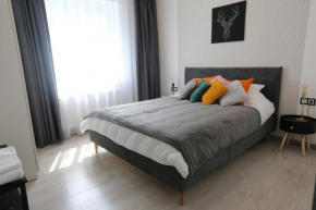 Comfy 2 Room Apartment - Free Parking - 350Mbps WiFi - Netflix